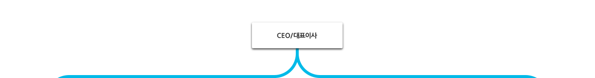CEO/ǥ̻ 