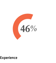 Experience 46%