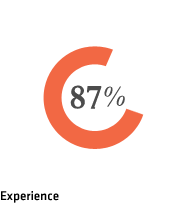 Experience 87%