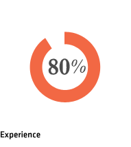 Experience 80%