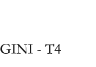 GINI - T4
