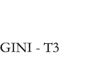 GINI - T3