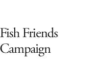Fish Friends Campaign