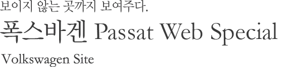 ٰ Passat Web Special